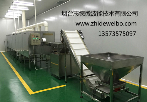 微波殺菌設備